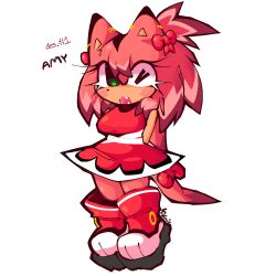 amy rose from sonic (series) by vitrioo
