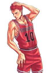 sakuragi hanamichi from slam dunk (series)