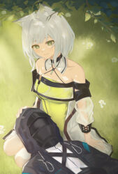 doctor (arknights) from arknights