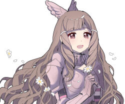 sumia (fire emblem) from fire emblem