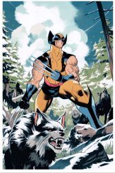 wolverine (x-men) from deadpool (series)
