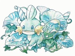 mudkip from pokemon by non (kumakawayusu)
