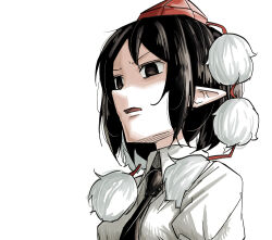 shameimaru aya from touhou by peroponesosu.
