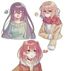 yaotose hinako from watashi wo tabetai hitodenashi