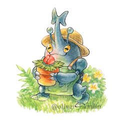 heracross from pokemon