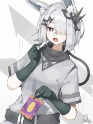 frostnova (arknights) from arknights