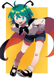 wriggle nightbug from touhou by bollzzalguy