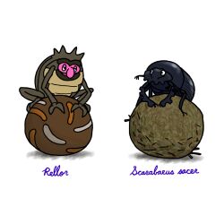 rellor from pokemon
