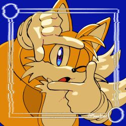 tails (sonic) from sonic (series)