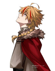 richard i (fate) from fate/strange fake by heki0529