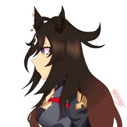 duramente (umamusume) from umamusume
