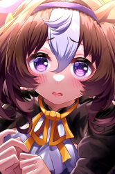 meisho doto (umamusume) from umamusume