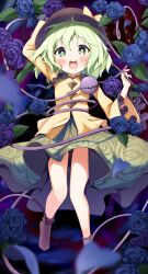 komeiji koishi from touhou