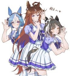 admire groove (umamusume) from umamusume
