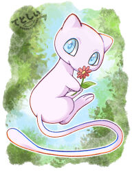 mew (pokemon) from pokemon
