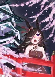 rice shower (umamusume) from umamusume