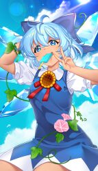 cirno from touhou