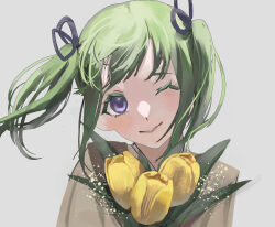midori (fire emblem) from fire emblem