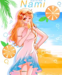 nami (one piece) from one piece