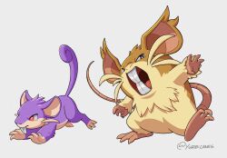 raticate from pokemon