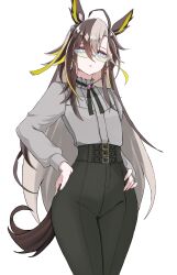 dream journey (umamusume) from umamusume