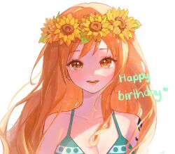 nami (one piece) from one piece