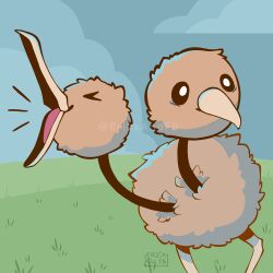 doduo from pokemon