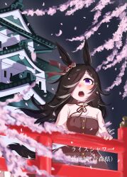 rice shower (umamusume) from umamusume