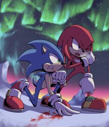 knuckles the echidna from sonic (series)