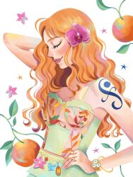 nami (one piece) from one piece