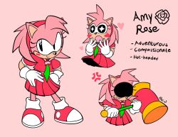 amy rose from sonic (series)