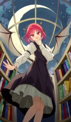 koakuma from touhou