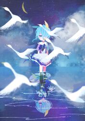 k.s.miracle (umamusume) from umamusume