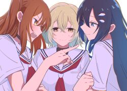 oumi shiori from watashi wo tabetai hitodenashi