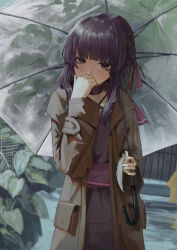 fallenshadow from indie virtual youtuber
