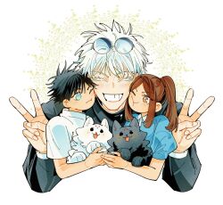 fushiguro megumi from jujutsu kaisen