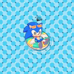 sonic the hedgehog from sonic (series)