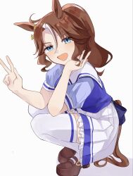 mejiro palmer (umamusume) from umamusume