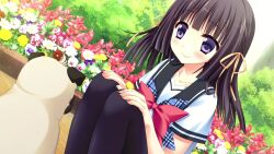 Booru post from safebooru.org