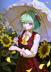 kazami yuuka from touhou