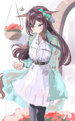 mejiro dober (umamusume) from umamusume