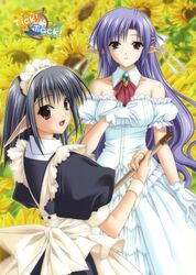 sage from shuffle by ai