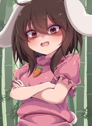 inaba tewi from touhou by siw0n