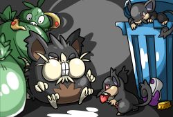 alolan raticate from pokemon