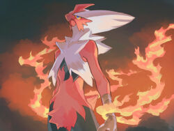 blaziken from pokemon by fusenryo