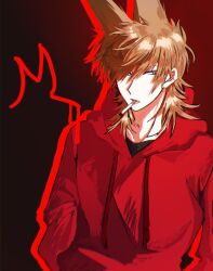 tord (eddsworld) from eddsworld
