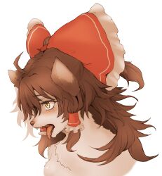 hakurei reimu from touhou by hawthorn