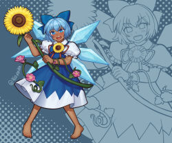 cirno from hidden star in four seasons
