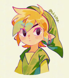 link from the legend of zelda by tokuura