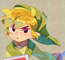 link from the legend of zelda by tokuura